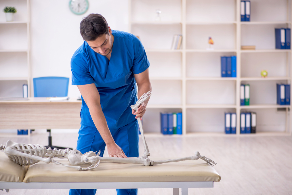 Chiropractic student practicing movement on a skeleton